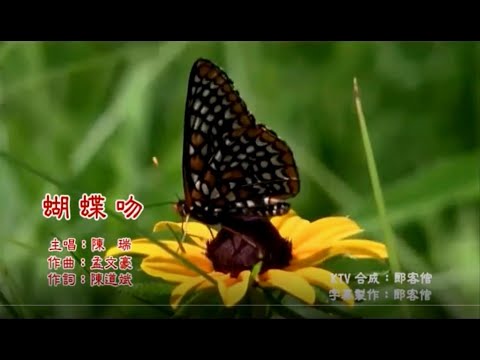 蝴蝶吻 (KARAOKE)