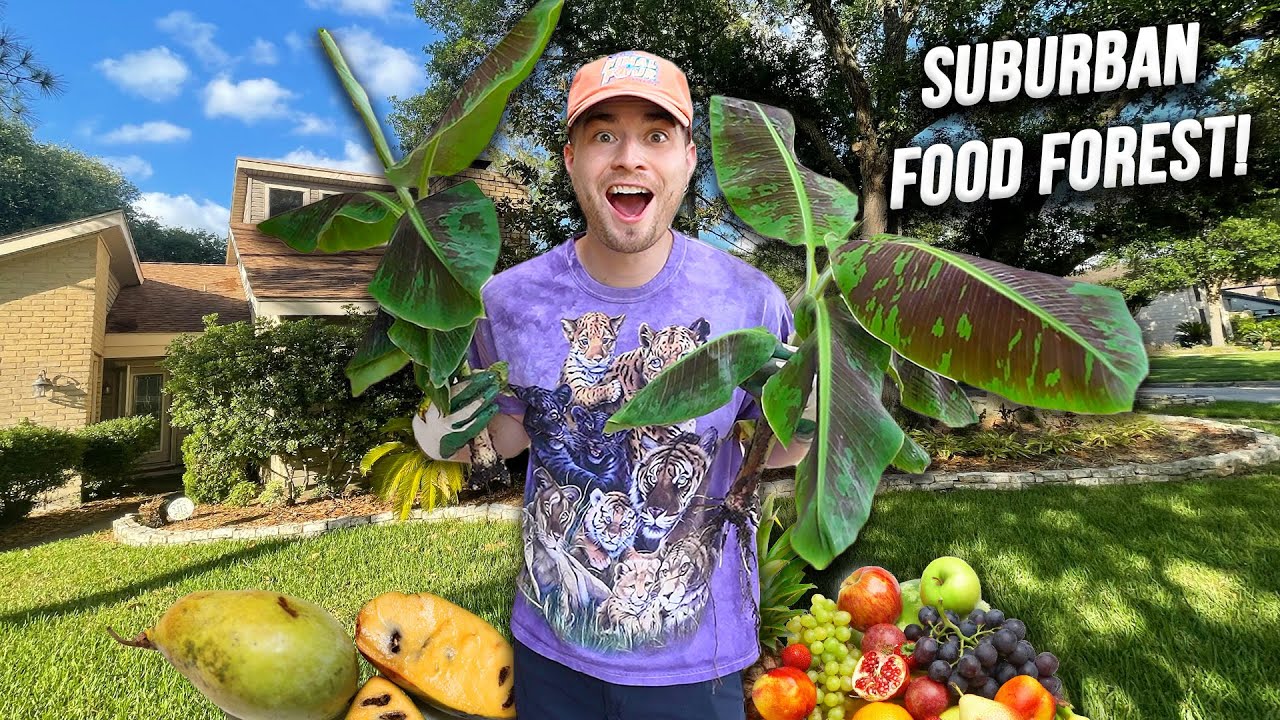 Food Forest Transformation! Tons of Fruit Trees for Texas Zone 9B! Paw