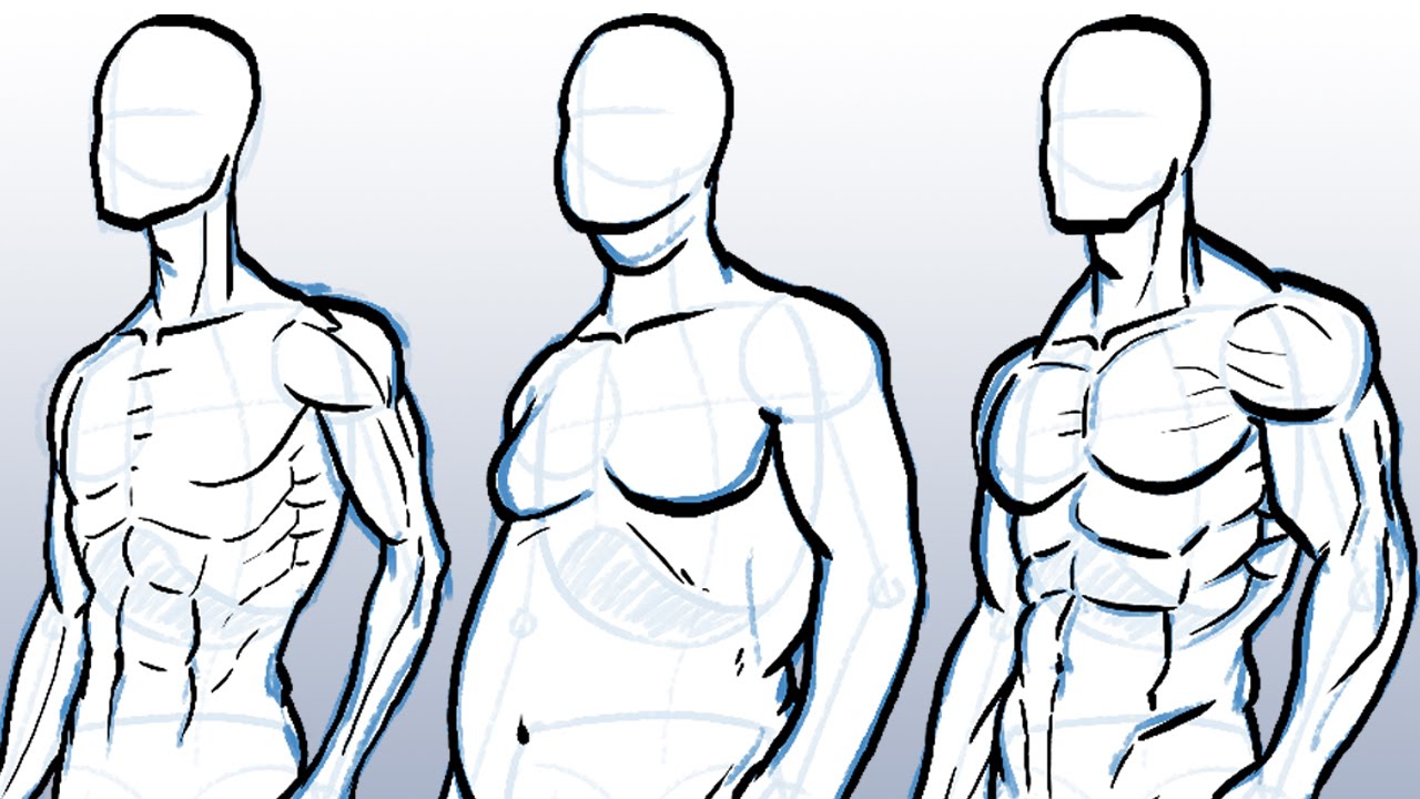 How To Draw Male Body Types : Drawing a face or body while