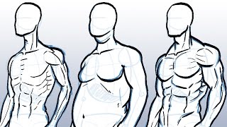 How to Draw Different Body Types