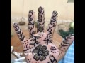 قنسوه حكيم حموده