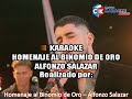 karaoke homenaje al binomio de oro   alfonzo salazar