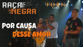 Video thumbnail of "Raça Negra - Por Causa Desse Amor"