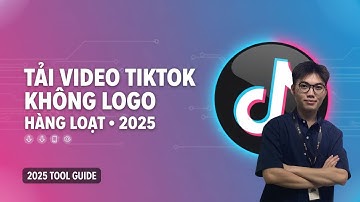 Tải Hàng Loạt Video Tiktok Không Logo 2025