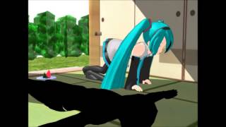 100 Subscriber Special: Aftermath of Momi Cup 2013