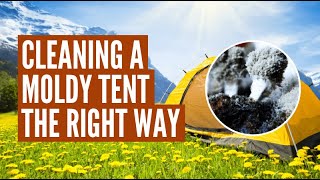 How To Clean And Prevent A Moldy Tent - The Only Way To Guarantee A Good Trip