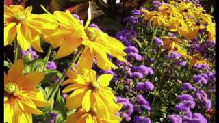 Download Lagu MNLA Landscape Awards 2010 - Management MP3 Download Lagu MNLA Landscape Awards 2010 - Management MP3