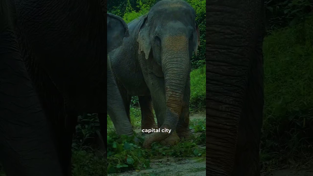 Nepal