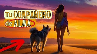 El PAPEL de tu PERRO en tu VIAJE ESPIRITUAL: Un COMPAÑERO de ALMA en Cuatro Patas