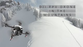 Winter FPV  DJI FPV DRONE IN THE SNOW