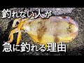 もう激しくシャクらないでください。この「一段」だけでキロアップが湧いてきた。