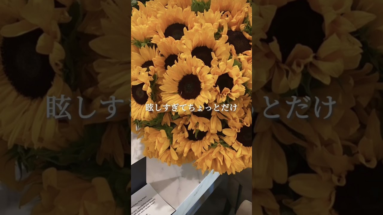 歌詞】SEKAI NO OWARI/向日葵 - YouTube