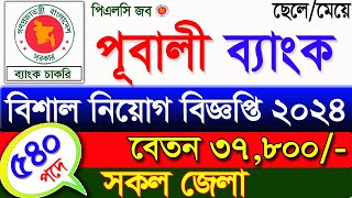 Pubali Bank New Job Circular 2024। Deputy Junior Officer job Circular 2024| Job Circular 2024