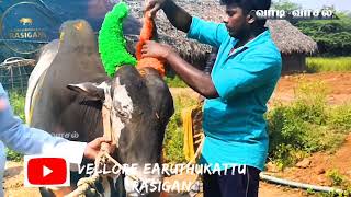 Edayanchathu Bolero In Home Promo Vellore Earuthukattu Rasigan Official Page