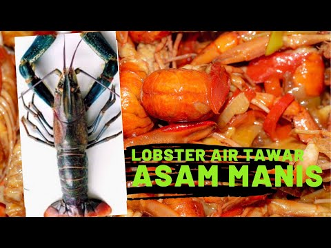 Masakan Udang Lobster Air Tawar