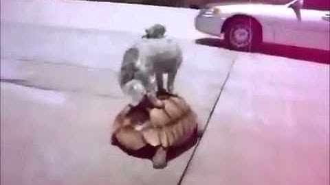 Washed Out - Feel it all around(HD music video)