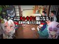 「ゲーム脳」とはなんだったのか 解説