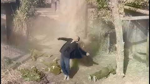 06B, 分辨率提升, 画质修复, 老片修复, 胶片数字化, 色彩校正 ,AI, Upscaling, VideoEnhancement, ArchiveFootage, ColorGrading