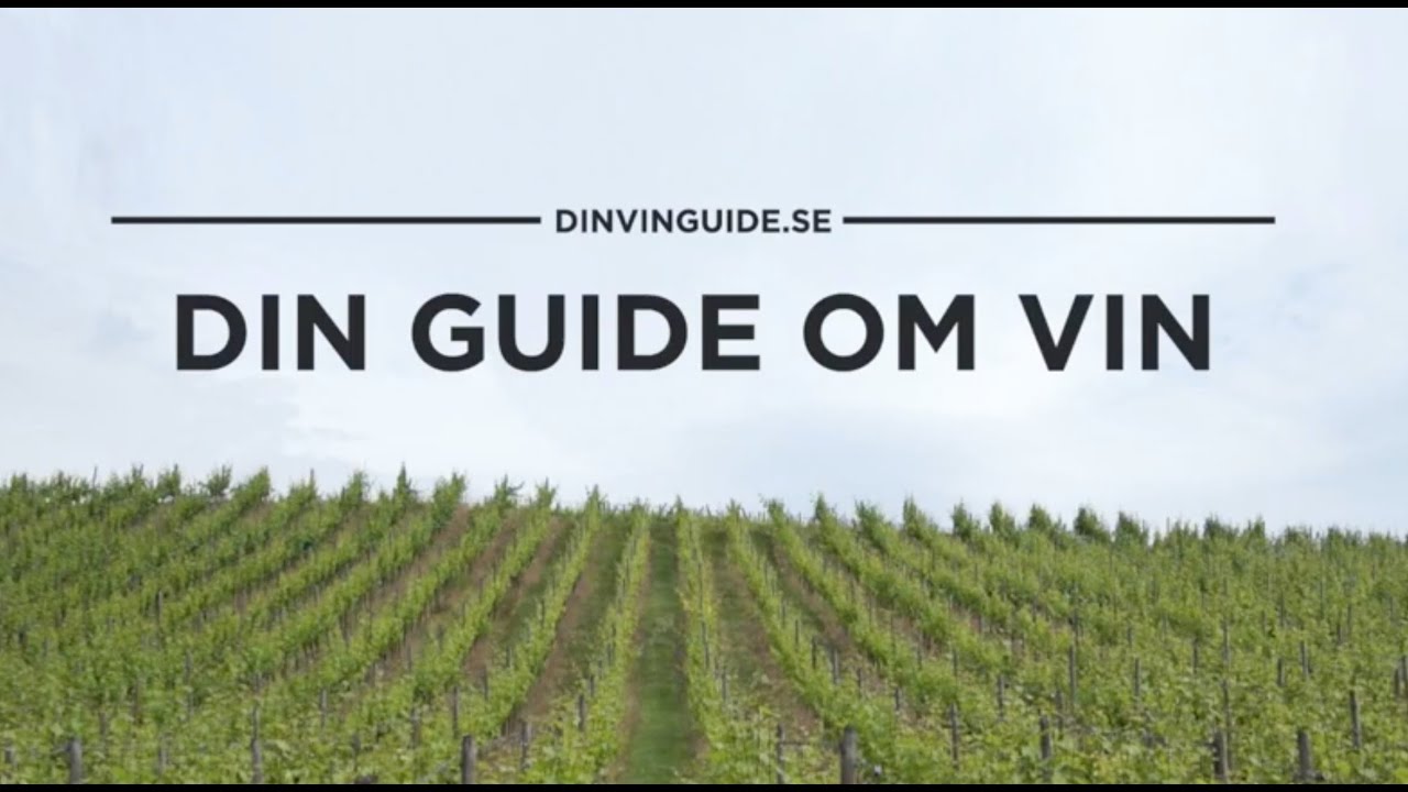 Capitel de Roari Amarone, Villa Righetti Ripasso provning - YouTube