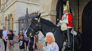 SIX PEOPLE touch the reins  King's Guard has had enough!!! Horse too!