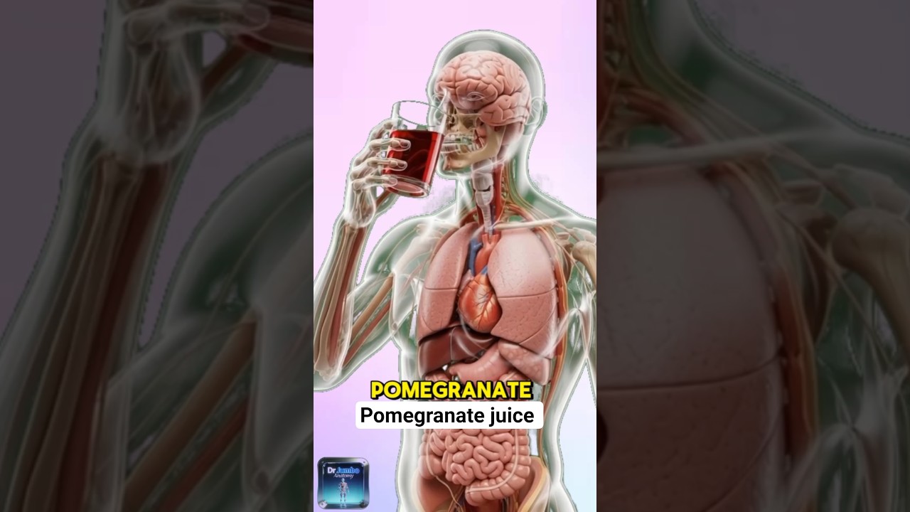 Inside the human body-science in motion 