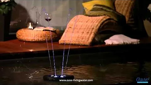 Oase - Water Starlet Fountain