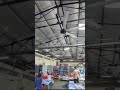Video Image