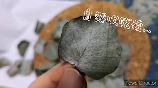 介紹 尤加利葉材的好處 》可去除臭味！