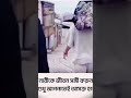 Wedding Song Wedding Video Weddings Weddingday Wedding Song Wedding Video Weddings Weddingday