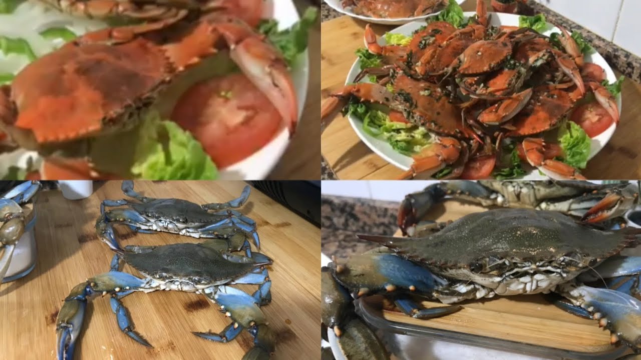 طريقة تحضير السلطعون الأزرق cómo hacer cangrejo azul