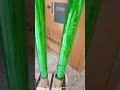 cricket steam