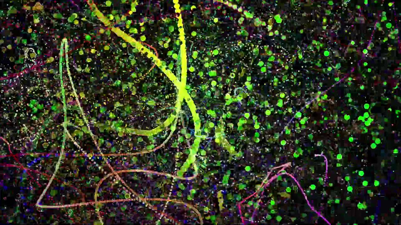Vladislav Delay X Max Loderbauer - BLOCK B2 auf YouTube ansehen Vladislav Delay X Max Loderbauer - BLOCK B2 auf YouTube ansehen