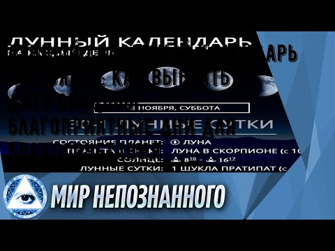 Лунный свадебный календарь на ноябрь: как выбрать дату свадьбы, благоприятные дни для бракосочетан.