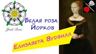 Елизавета Вудвилл _ БЕЛАЯ роза Йорков 💮