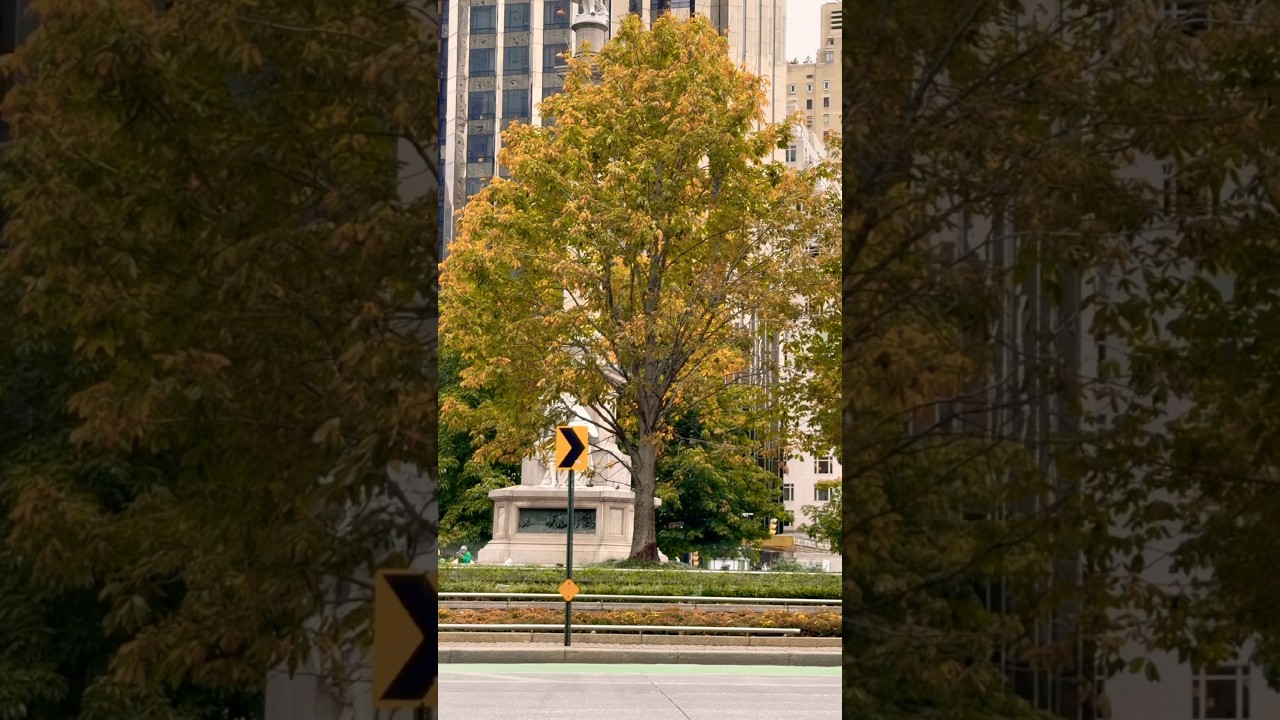 Manhattan Magic in 4K ✨ 