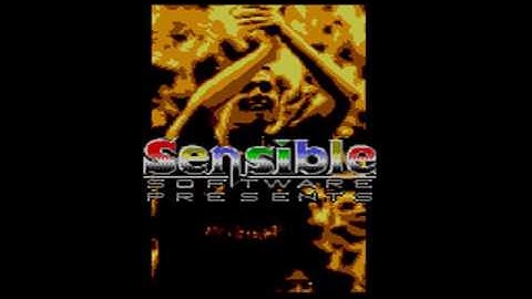 Sega Master System - Sensible Soccer Intro