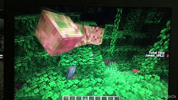 Minecraft Java Edition how to make a mob kill counter using commands!