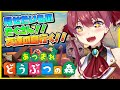 【あつ森】みてみて船長の島！！友達の島遊びに行ったりエンジョイ✨【ホロライブ/宝鐘マリン】