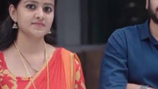 Software developer last scene WhatsApp status screenshot 3