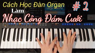Tuan Luu Organ
