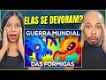 (ISSO É INSANO!) REACT: GUERRA mundial das FORMIGAS: as formigas-de-CORREIÇÃO! | Em Poucas Palavras