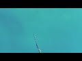 Мальдивы. Подводная охота. Манта. Тунец. Акула! Maldives. Spearfishing.