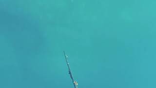 Мальдивы. Подводная охота. Манта. Тунец. Акула! Maldives. Spearfishing.