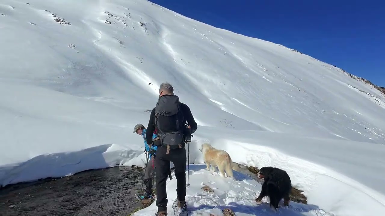Trek hivernal raquettes.