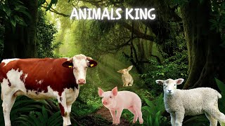 Farm animal sounds: cows, pigs, goats, sheep, horses, ducks, chickens. screenshot 4