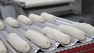 Colbake Industrial Proofing System Intermediate Static Proofers Bread Production Bakery Equip
