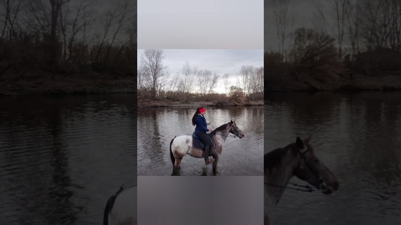 PRIME PROVE COL DRONE 