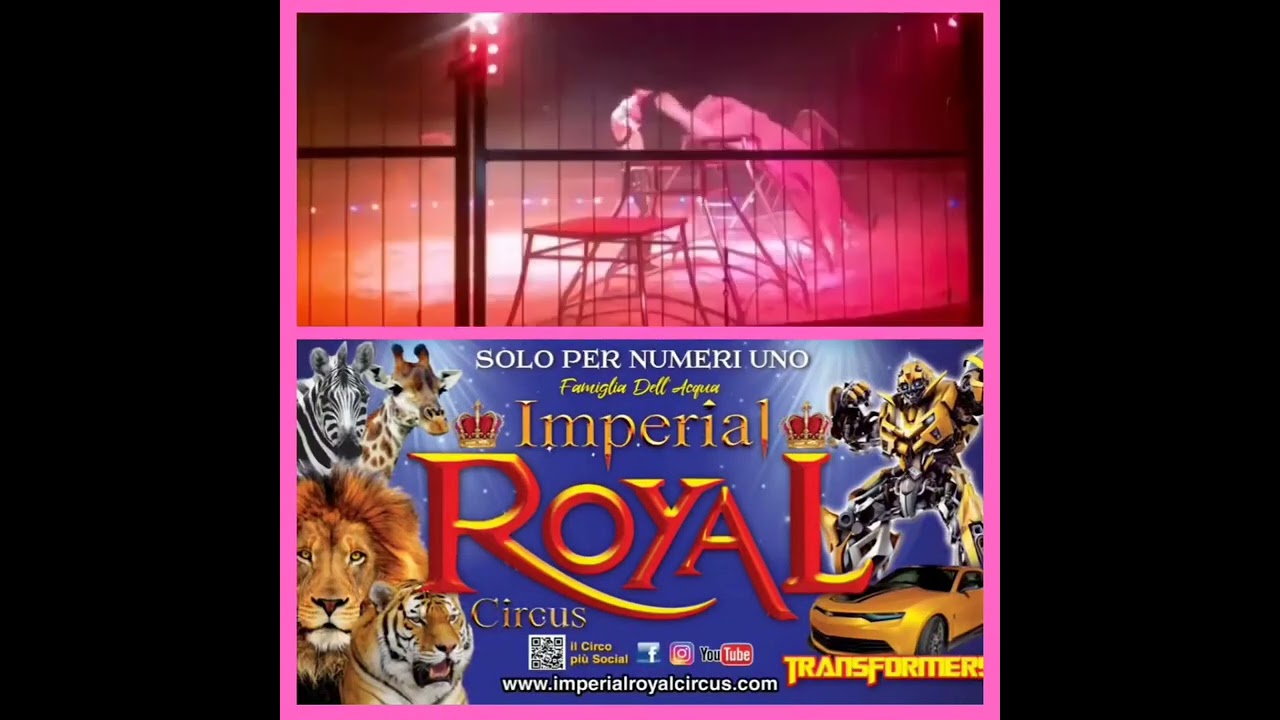 circo Imperial royal a  Scalea Santa Maria del cedro