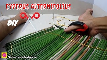 Phụ kiện cắm hoa | Hướng dẫn cách đan mành bằng cây THỦY TRÚC