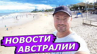 ПОДРОСТКИ ТЕРРОРИСТЫ, СВИНЬИ НАПАДАЮТ НА ЛЮДЕЙ, ДЕЛЬФИНЫ В ОПАСНОСТИ, ИДИОТ ГОДА